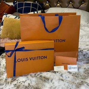 Louis Vuitton kirigami Pochette